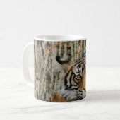 MUG LE TIGER DANS LA SAUVAGE REPOSANT (Devant gauche)
