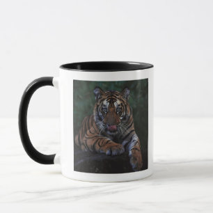 Mug Le tigre CUB repose sur la roche
