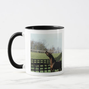 Mug Le Vermont, Etats-Unis 2
