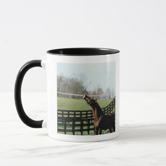 Mug Le Vermont, Etats-Unis 2 (Gauche)