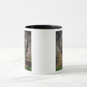 Mug Le vieil olivier, 1922 (Centre)