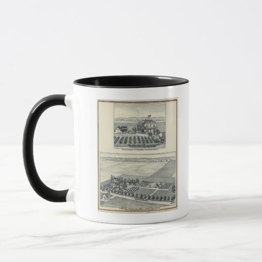 Mug Le vignoble de Hedge Row, Fresno (Gauche)