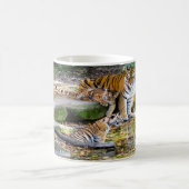 Mug Leçons De Vie Mère Tigre Et Cubs (Centre)