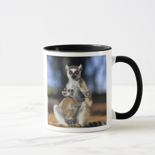 Mug Lémur catta, (Lemur catta), Mère et (Droite)