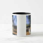 Mug Lémur catta, (Lemur catta), Mère et (Centre)