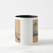 Mug Lémurs à queue annelée, (Lemur catta), Berenty (Centre)