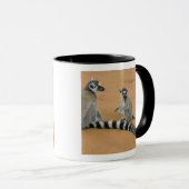 Mug Lémurs à queue annelée, (Lemur catta), Berenty (Devant droit)