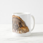 Mug Leonberger somnolent (Devant droit)