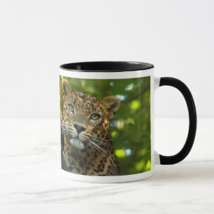 Mug Léopard