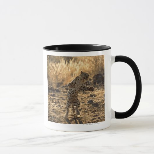 Mug Léopard africain sur les jambes de derrière, (Droite)