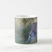 MUG LEOPARD AUX YEUX BLEUS (Centre)