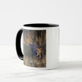 Mug Leopard Cub Panthera Pardus (Devant gauche)