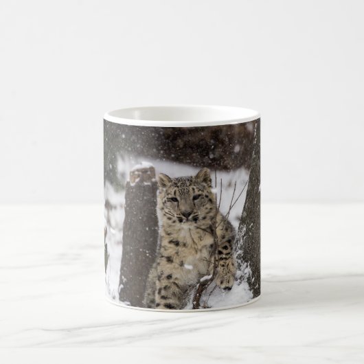 Mug Léopard de neige CUB (Centre)
