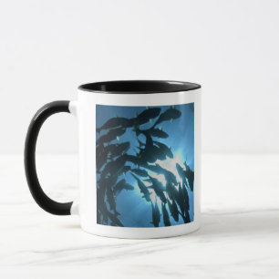 Mug L'Equateur, archipel de Galapagos, île de loup,
