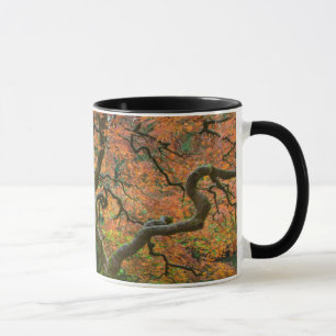 Mug L'Érable Dans Les Jardins Japonais En Automne