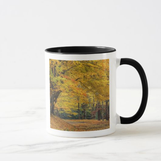 Mug L'érable d'automne surplombant la voie de campagne (Droite)