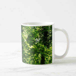 Mug Les arbres au printemps. Bute Park, Cardiff. Pays