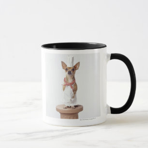 Mug Les blancs du chef de port de chien de chiwawa,