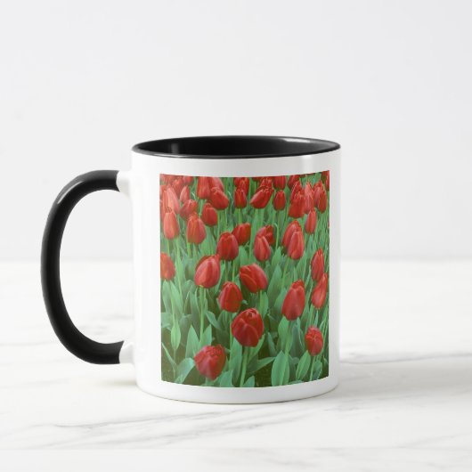 Mug Les champs de tulipes fleurissent au printemps. (Gauche)