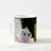 Mug Les chatons viennent jouer (Devant gauche)