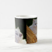 Mug Les chatons viennent jouer (Centre)