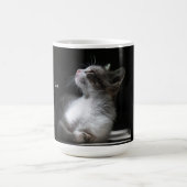 Mug Les chats sont des chats Angels (Centre)