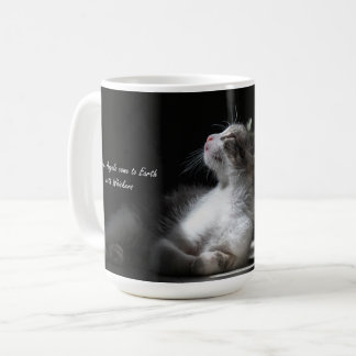 Mug Les chats sont des chats Angels