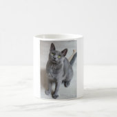 Mug Les Chats Sont Les Meilleurs 57 (Centre)