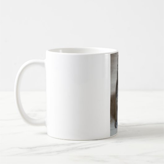 Mug Les Chats Sont Les Meilleurs 57 (Gauche)