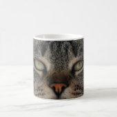 Mug Les Chats Sont Les Meilleurs 98 (Centre)