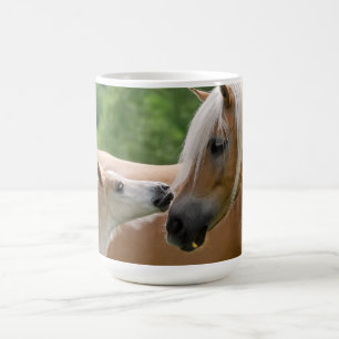 Mug Les chevaux de Haflinger poulinent et jument
