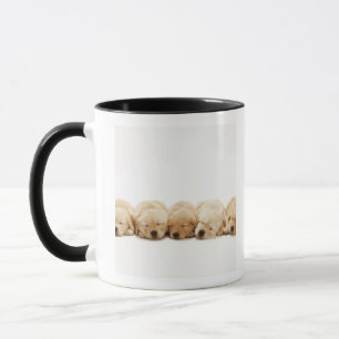 Mug Les chiots du golden retriever