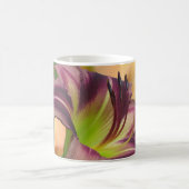Mug Les couleurs de Starman - Daylily (Centre)