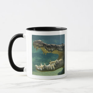 Mug Les crocodiles ouvrent la bouche