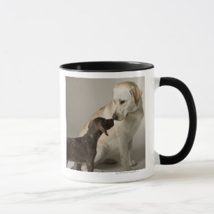 Mug Les Etats-Unis, la Californie, San Francisco