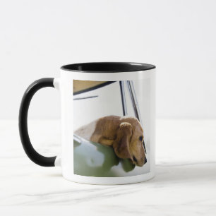 Mug Les Etats-Unis, le Colorado, chien regardant par