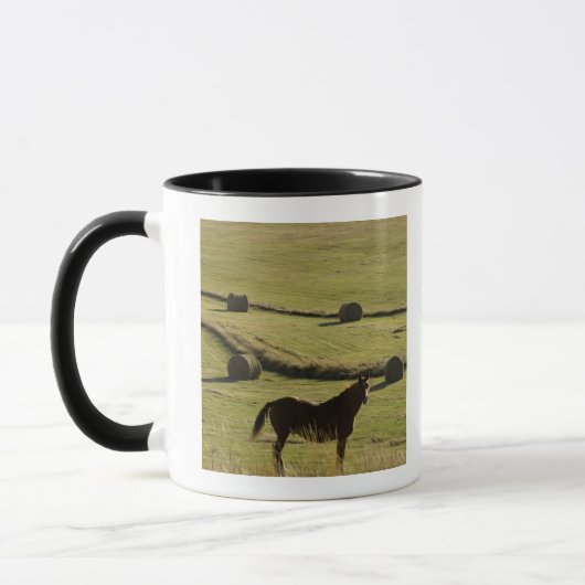 Mug Les Etats-Unis, le Colorado, Steamboat Springs, (Gauche)