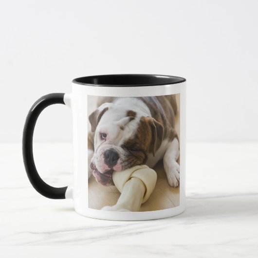 Mug Les Etats-Unis, New Jersey, Jersey City, chiot (Gauche)