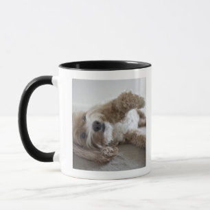 Mug Les Etats-Unis, New York, New York City, Brooklyn,