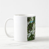 Mug Les fougères du parc national des Glaciers, Montan (Gauche)