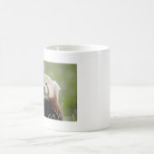 Mug Les grenouilles photo panda rouge. Panda roux. ani (Centre)