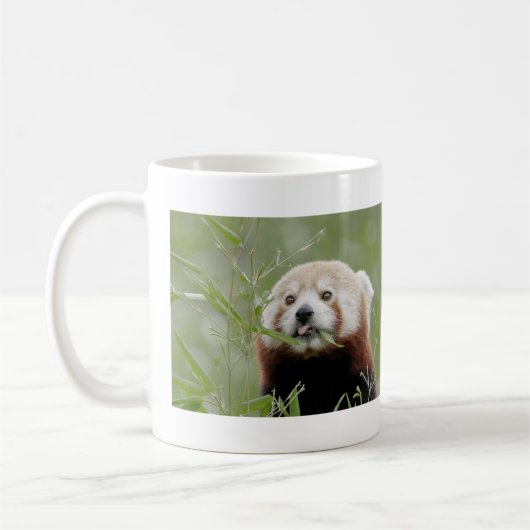 Mug Les grenouilles photo panda rouge. Panda roux. ani (Gauche)