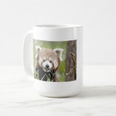 Mug Les grenouilles photo panda rouge. Panda roux. ani (Devant gauche)