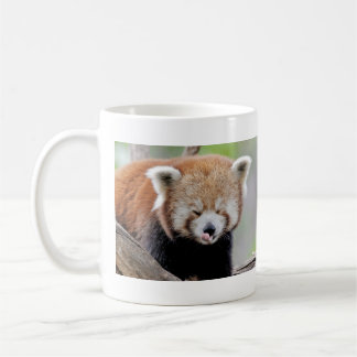 Mug Les grenouilles photographient le panda rouge. Pan