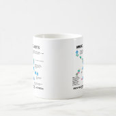 Mug Les Immunologues connaissent l'activation des cell (Centre)