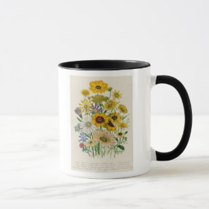 Mug Les marguerites, plaquent 31 "des dames