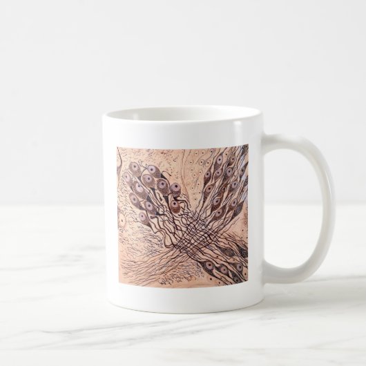 Mug Les neurones 1 de Cajal (Droite)