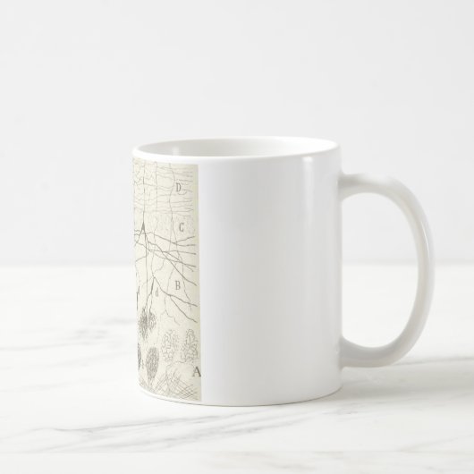 Mug Les neurones 8 de Cajal (Droite)