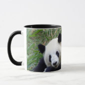 Mug Les Ours De Panda Géants Mangent Bambou Et Amour ( (Gauche)