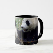 Mug Les Ours De Panda Géants Mangent Bambou Et Amour ( (Devant droit)
